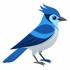blue bird on white background