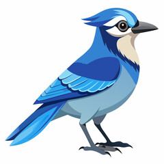 blue bird isolated on white background