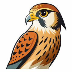 bird of prey