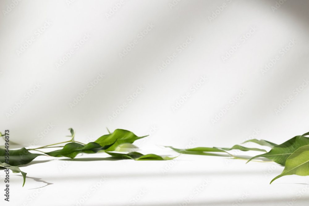 Poster Abstract white color studio background for product presentation. Empty room with shadows of window and flowers and plant leaves . 3d grey room with copy space. Summer concept. Blurred backdrop.