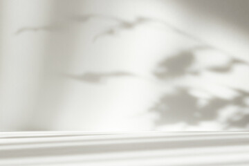 Abstract white color studio background for product presentation. Empty room with shadows of window and flowers and plant leaves . 3d grey room with copy space. Summer concept. Blurred backdrop.