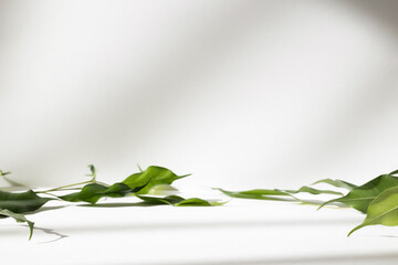 Abstract white color studio background for product presentation. Empty room with shadows of window and flowers and plant leaves . 3d grey room with copy space. Summer concept. Blurred backdrop.