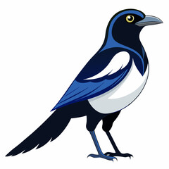 blue bird isolated on white background