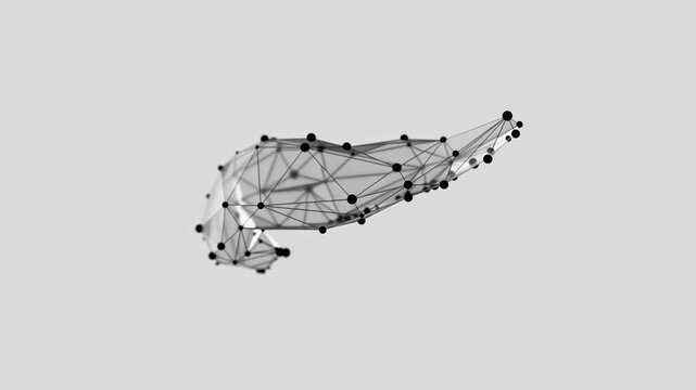 3d animation of a low-poly pancreas turn-table over white background. Pancreas wireframe made of points. Seamlessly loopable video