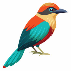 vector illustration of a bird