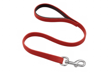 Crimson nylon dog leash laying on clear surface, highlighting quality pet equipment with minimalist design aesthetic