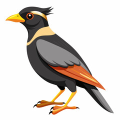 vector illustration of a bird