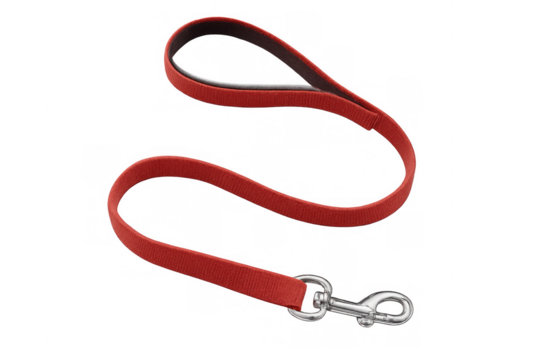 Crimson nylon dog leash laying on clear surface, highlighting quality pet equipment with minimalist design aesthetic