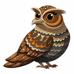 owl on white background