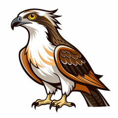 eagle on white background