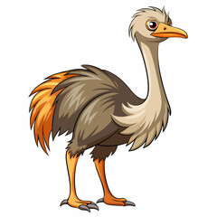 illustration of an ostrich
