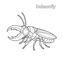 Obraz premium Dobsonfly coloring page for kids and adults, insect outline drawing, entomology education on transparent background