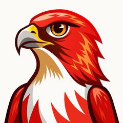 head of eagle