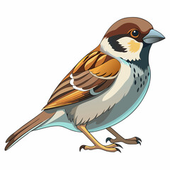 bird on a white background
