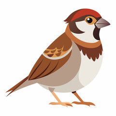 bird, animal, nature, beak, wildlife, duck, isolated, white, cartoon, illustration, cute, chicken, red, feather, vector, brown, wild, wing, feathers, black