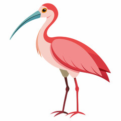 pink flamingo bird