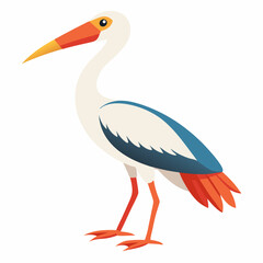 white stork ciconia