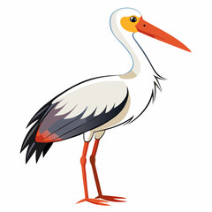 Obraz premium white stork ciconia