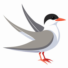 vector illustration of a bird