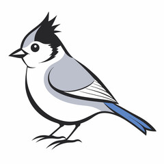 blue bird on white background