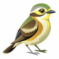 vector illustration of a bird