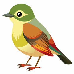 Fototapeta premium bird on a branch