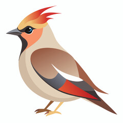 vector illustration of a bird