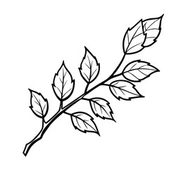 Autumn Branch Sketch Illustration