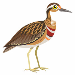 Obraz premium vector illustration of cartoon bird