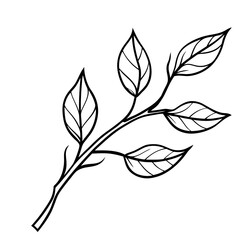 Autumn Branch Sketch Illustration