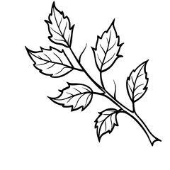 Fototapeta premium Autumn Branch Sketch Illustration