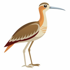 heron isolated on white