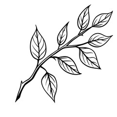 Autumn Branch Sketch Illustration