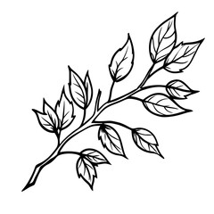 Autumn Branch Sketch Illustration