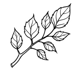 Autumn Branch Sketch Illustration