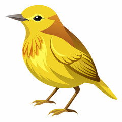 vector illustration of an orange bird