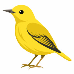 vector illustration of a bird
