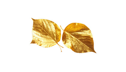 Naklejka premium Fallen leaves isolated on white background