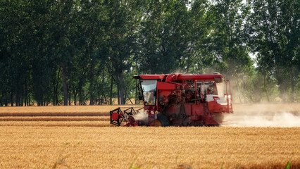 Obraz premium Modern Wheat Harvester in a Field