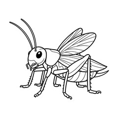 Cricket insect line art drawing vector illustration for coloring page and educational use on transparent background