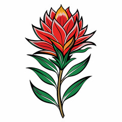 red flower isolated on white