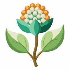 orange tree with flowers