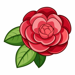 red rose isolated on white