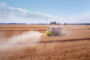 Wheat Harvesting in a Vast Field