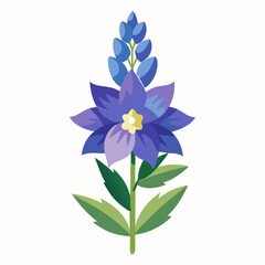 blue flower isolated on white