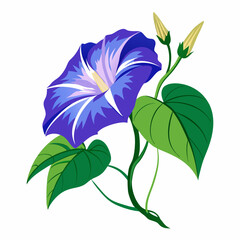 blue flower isolated on white