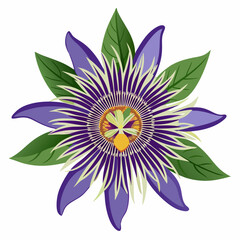 lotus flower isolated on white