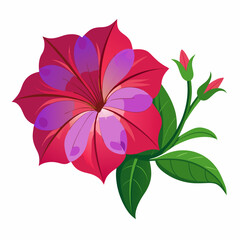 pink flower isolated on white