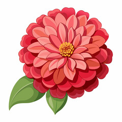 dahlia flower isolated on white