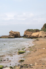Beach and rocky coast landscape coastal view